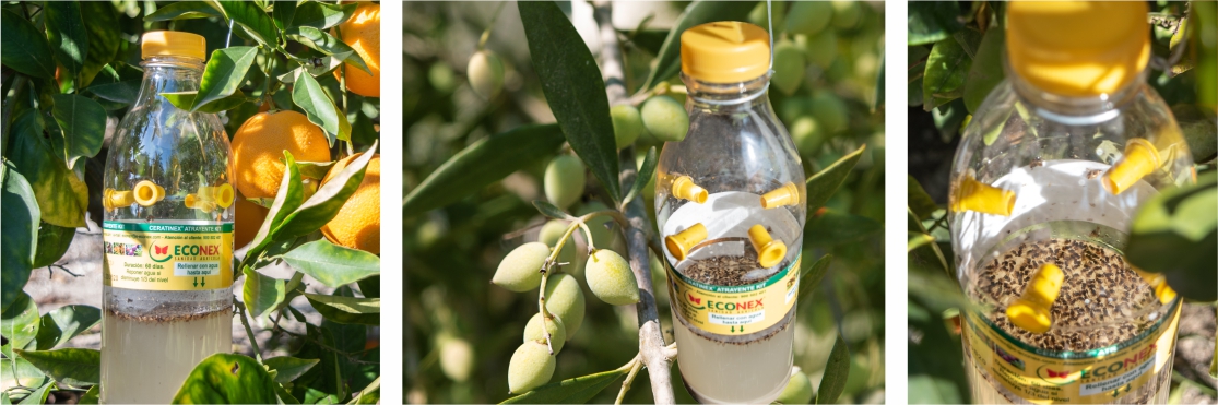 CERATINEX® ATTRATTORE KIT IN CAMPO